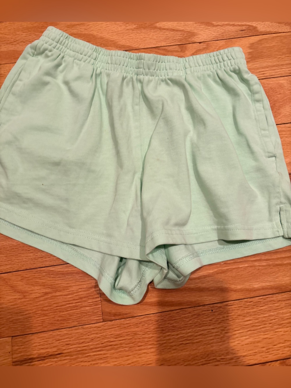 Light Mint Green Casual Shorts